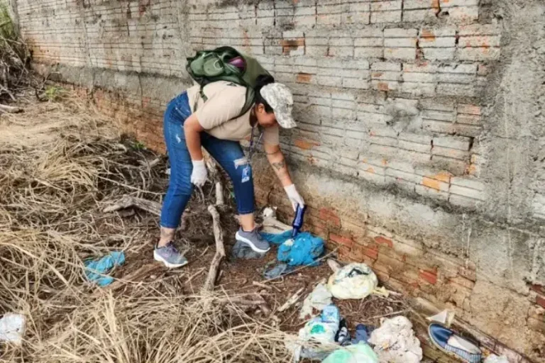 Regional de Saúde de Umuarama: