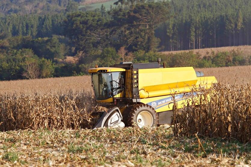 Colheita De Milho Na Região De Campo Mourão, Norte Do Paraná Colheitadeira Colhendo Milho 