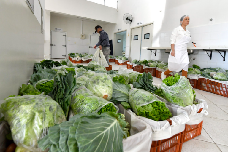 Umuarama Banco De Alimentos Entrega 800 Cestas Verdes (3)