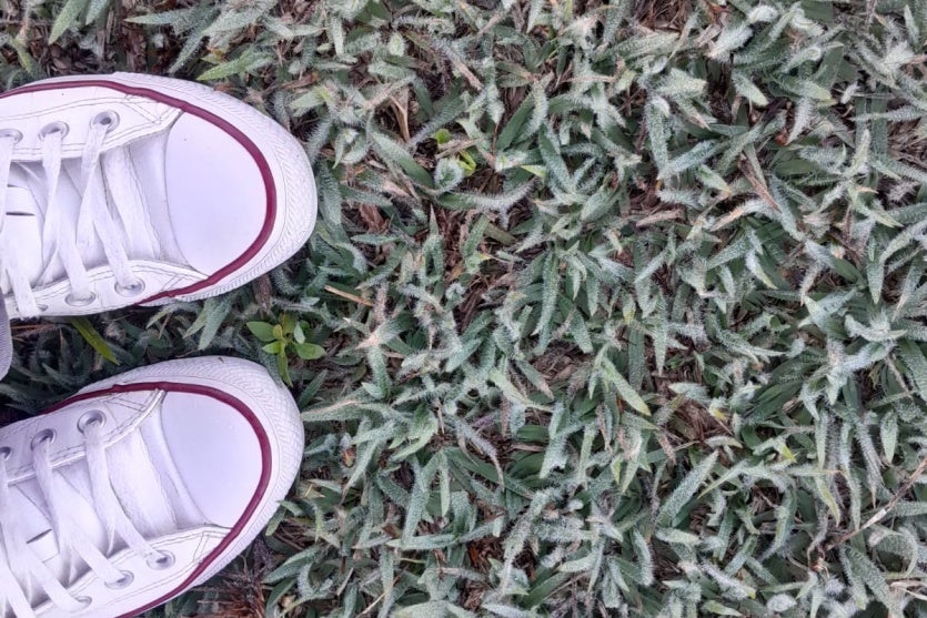 Whatsapp Image 2025 07 30 At 09.08.21