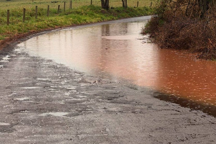 528602967 1970349570381971 2592977387194661887 N