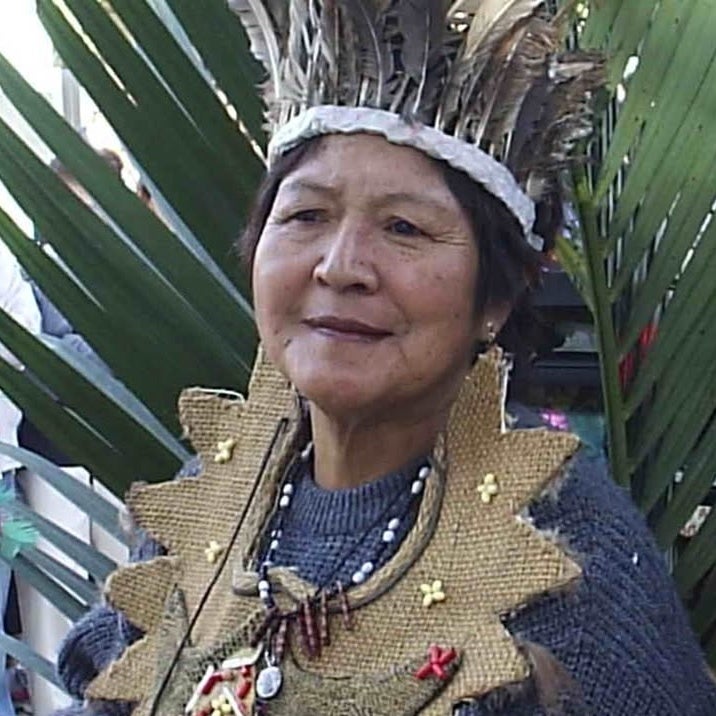 528815756 1533857694270867 6108582447867051338 N (1)