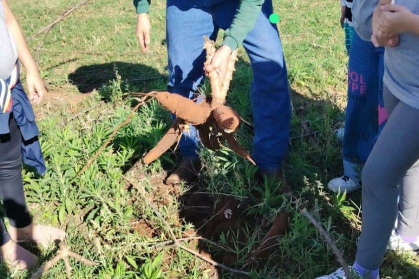 54708246768 947122993d B