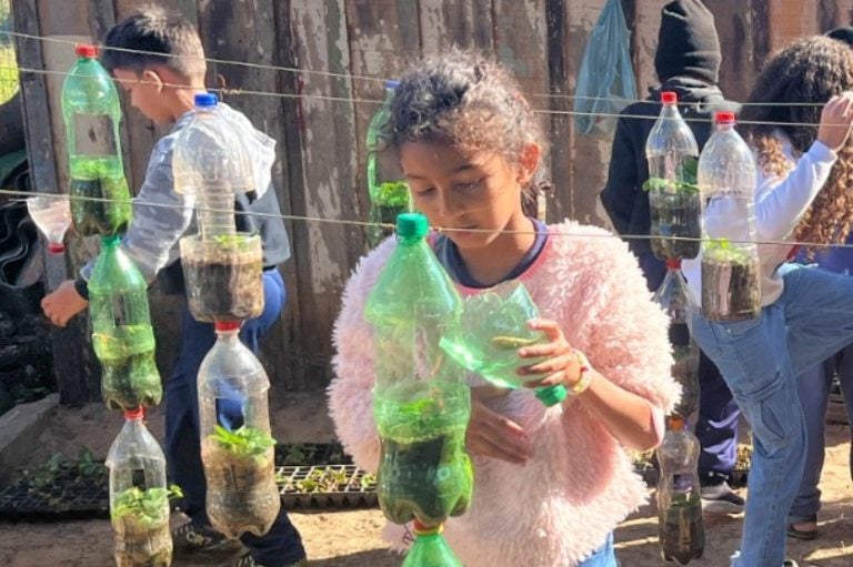 Alunos Colhem Morangos Cultivados Através Do Programa Agrinho (1)