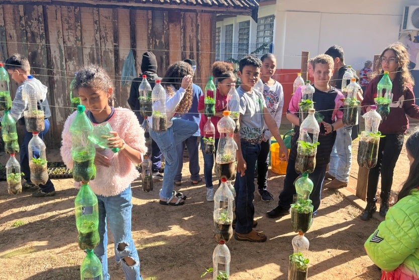 Alunos Colhem Morangos Cultivados Através Do Programa Agrinho (2)