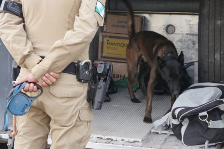 Cão Nero:
