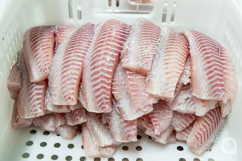 Feira Do Produtor Estreia Neste Sábado No Shopping Palladium Umuarama 11