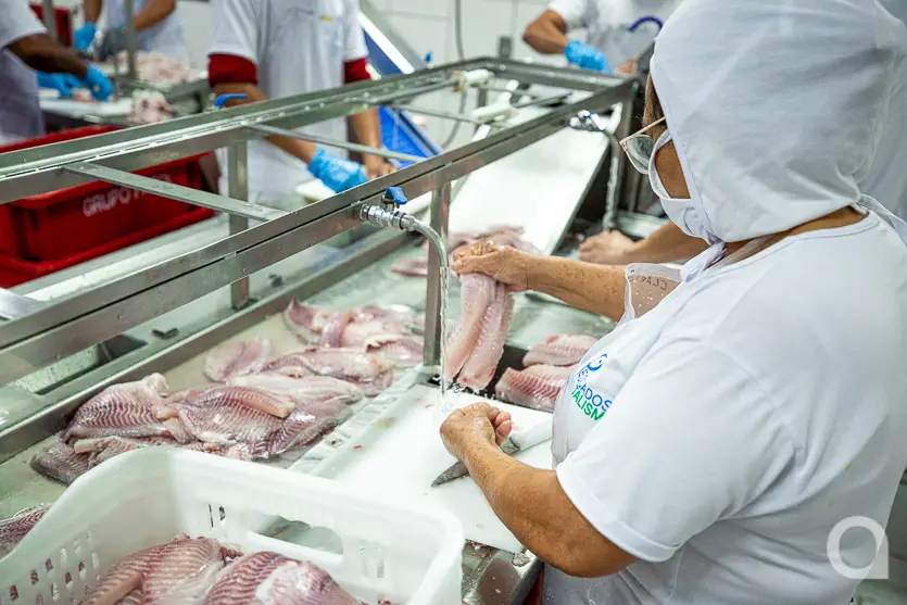 Feira Do Produtor Estreia Neste Sábado No Shopping Palladium Umuarama 12