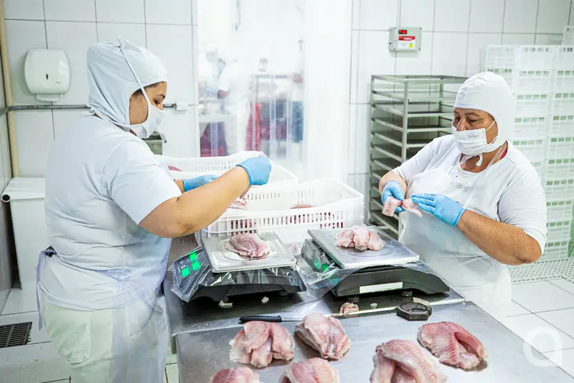 Feira Do Produtor Estreia Neste Sábado No Shopping Palladium Umuarama 7