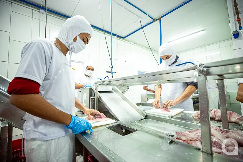 Feira Do Produtor Estreia Neste Sábado No Shopping Palladium Umuarama 8