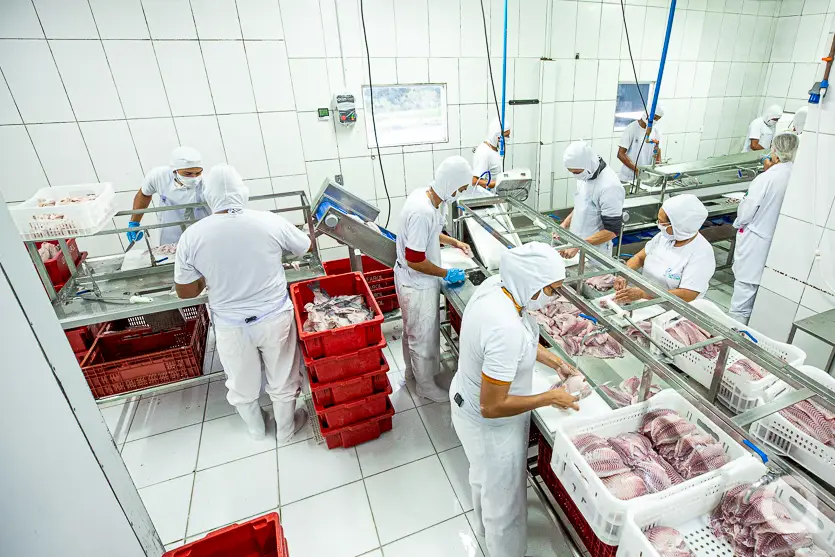 Feira Do Produtor Estreia Neste Sábado No Shopping Palladium Umuarama 9