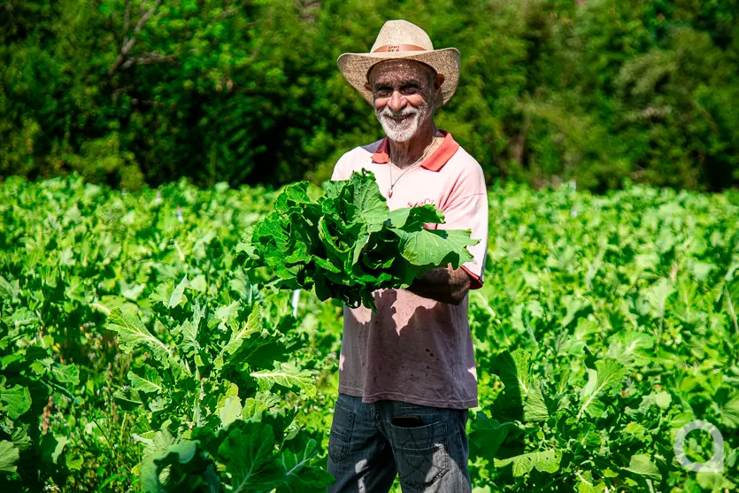 Feira Do Produtor Estreia No Shopping Palladium Umuarama 4