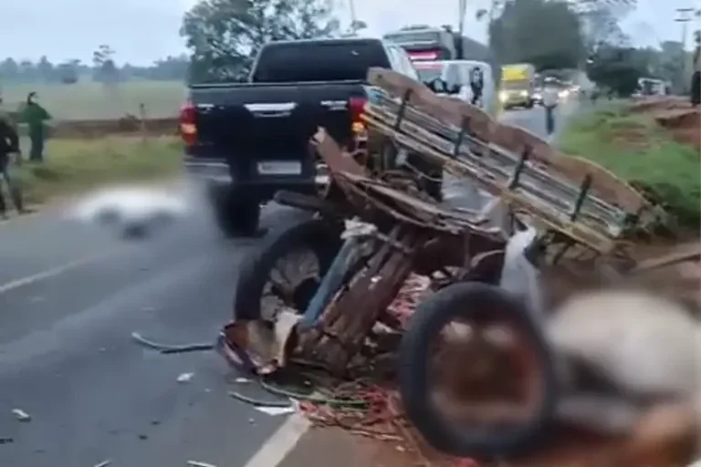 Idoso e cavalo: Hilux atingiu a traseira da charrete, arremessando o veículo de tração animal para fora da pista.