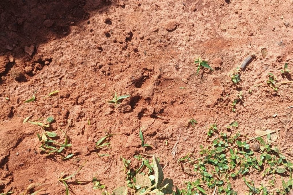 Imagem Do Whatsapp De 2025 08 28 à(s) 07.49.34 41d86371