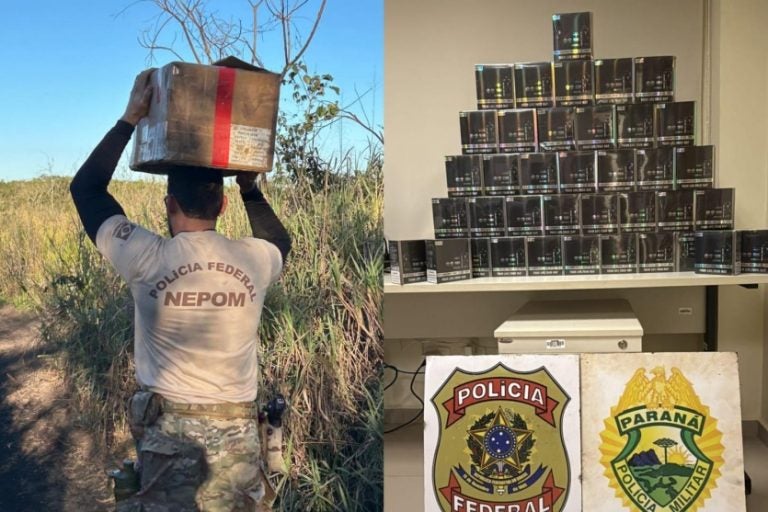 Apreensão no Parque da Ilha Grande resulta em R$ 20 mil em cigarros eletrônicos recolhidos.