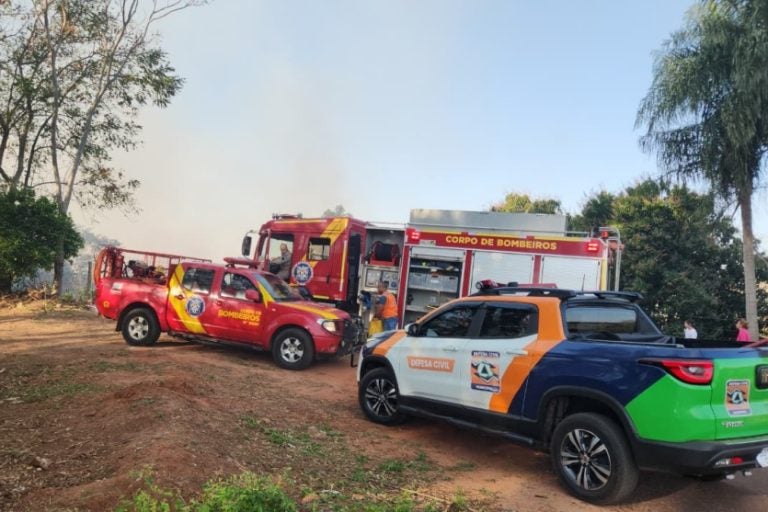 Incêndio atinge área de pasto: O incêndio teria iniciado após um homem colocar fogo em papel higiênico.
