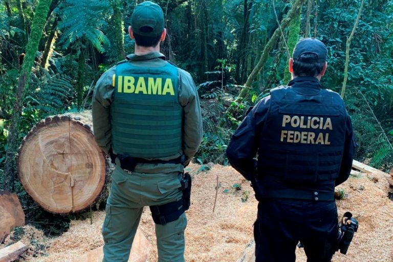 Lideranças indígenas são presas: Os líderes indígenas estariam diretamente ligados ao esquema que movimentava madeira extraída de forma clandestina.