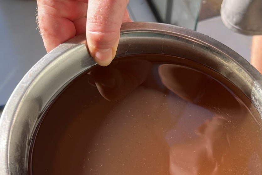 Morador do Parque Ibirapuera: