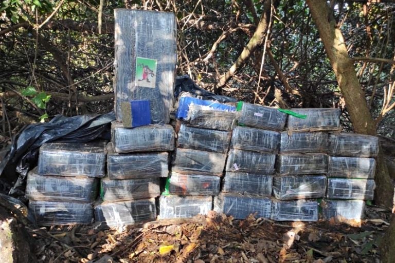 Polícia Ambiental Encontra 410 Kg De Maconha Em Porto Camargo (2)