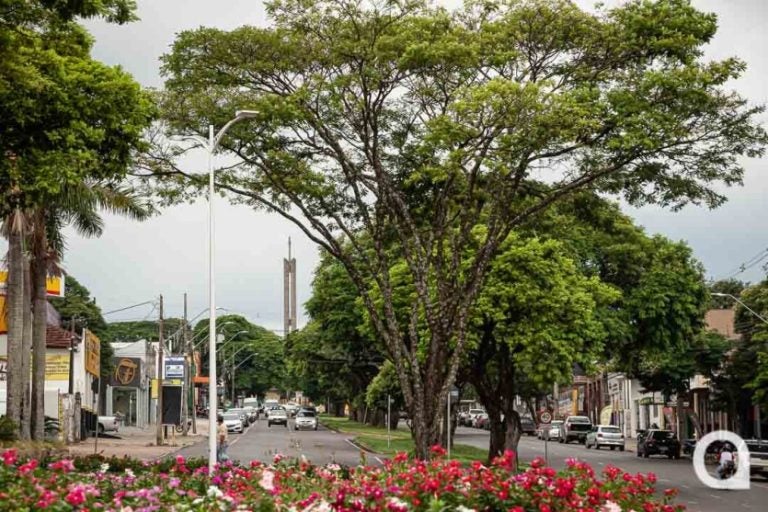 Máxima será de 18°C em Umuarama nesta segunda-feira (25).