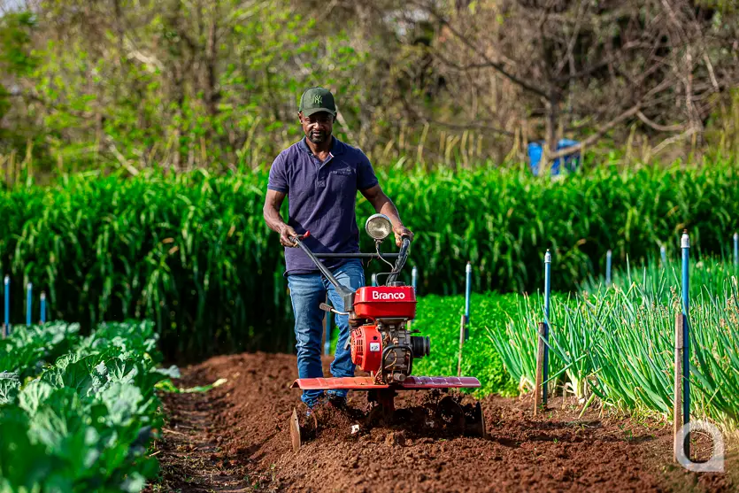Shopping Palladium Umuarama Abre Novo Espaço Para A Feira Do Produtor 1