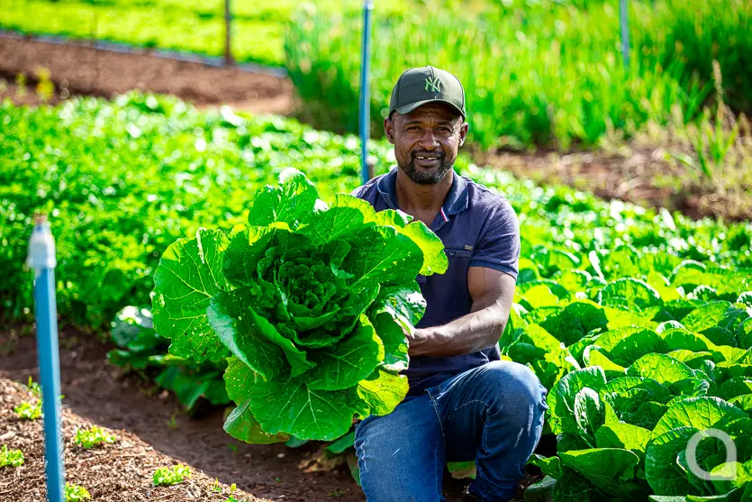 Shopping Palladium Umuarama Abre Novo Espaço Para A Feira Do Produtor 6