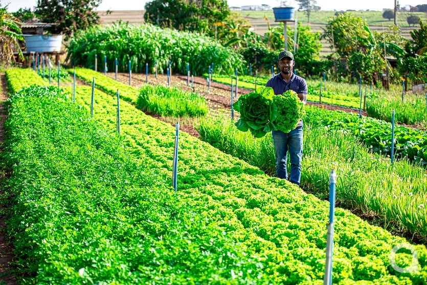Shopping Palladium Umuarama Abre Novo Espaço Para A Feira Do Produtor 7