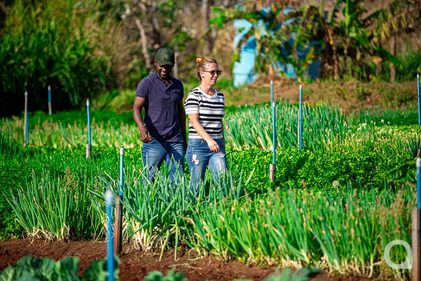 Shopping Palladium Umuarama Abre Novo Espaço Para A Feira Do Produtor 8