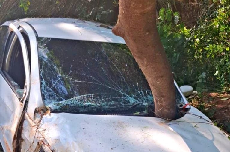 Tronco Atravessa Carro Após Queda Em Barranco Na Pr 323 (1)