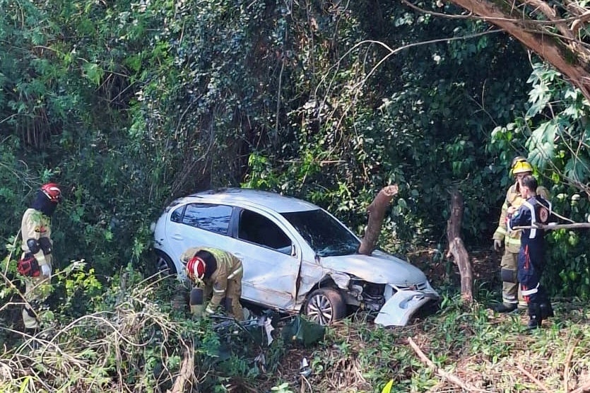 Tronco Atravessa Carro Após Queda Em Barranco Na Pr 323 (3)
