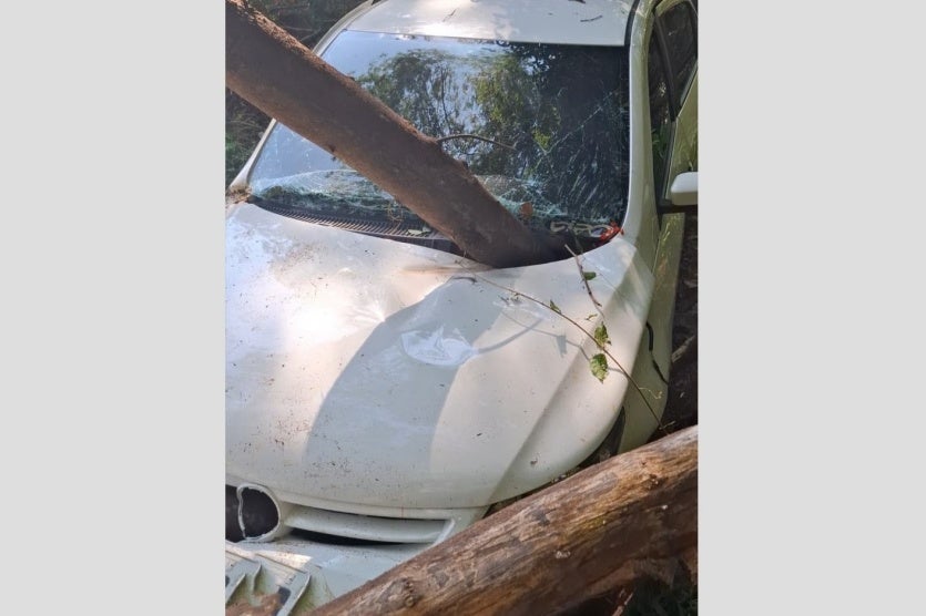 Tronco Atravessa Carro Após Queda Em Barranco Na Pr 323 (4)