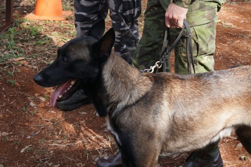 Whatsapp Image 2025 08 04 At 13.11.45 (2)