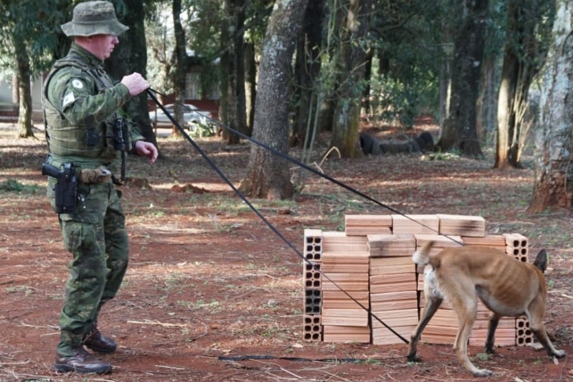 Whatsapp Image 2025 08 04 At 13.11.45 (3)