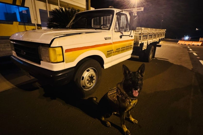 Whatsapp Image 2025 08 21 At 06.59.34