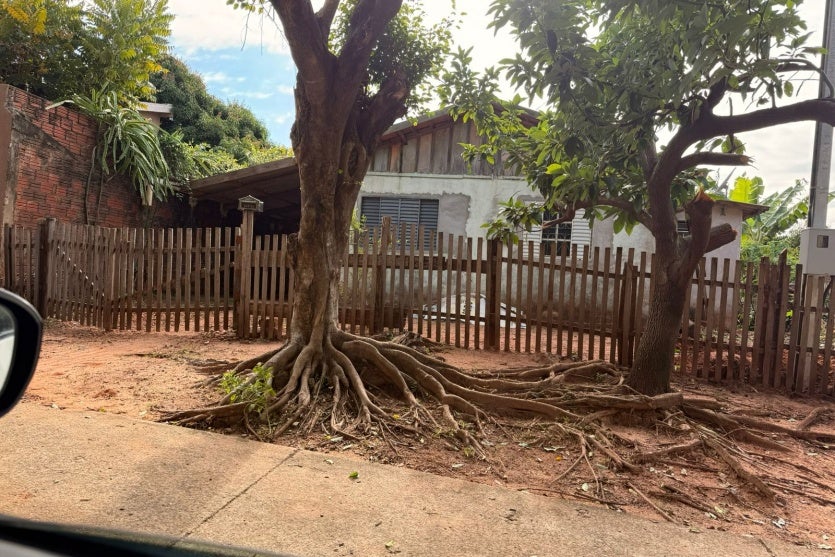 Whatsapp Image 2025 08 25 At 15.53.39 (2)