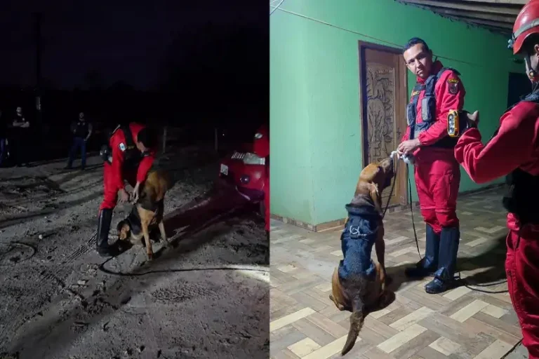 Busca Hórus