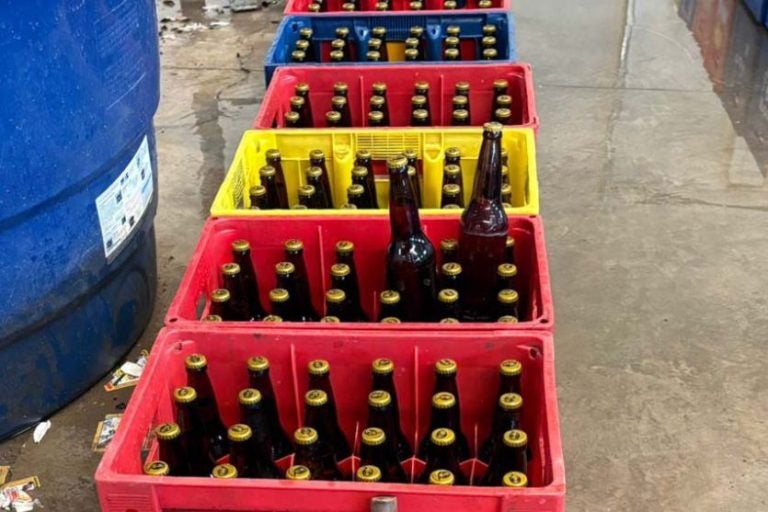 Cerva Na água