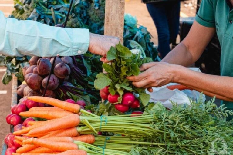 Feira