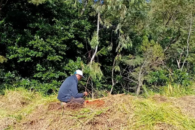 Moradores do Paysage Unique celebram o Dia da Árvore com o plantio de mais de 600 mudas.