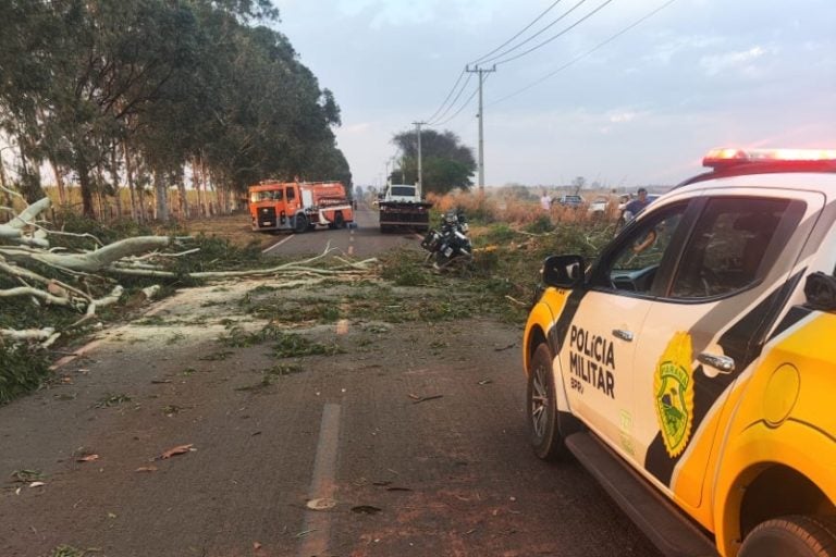 Queda de árvore causa morte de motociclista na PR-180
