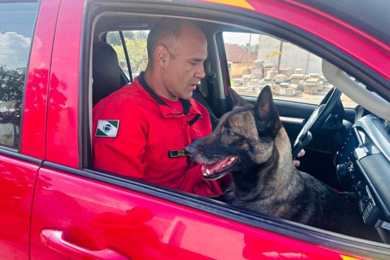 Bombeiros E Cães Reforçam Buscas Por Desaparecidos Em Icaraíma (1)