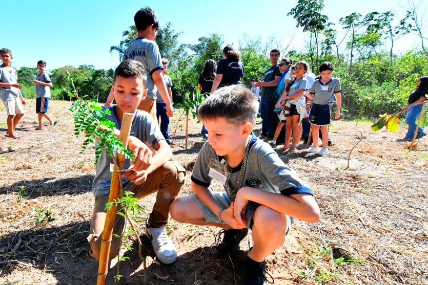 Comemoração Da Semana Da Árvore Tem Plantio De 350 Mudas (1)