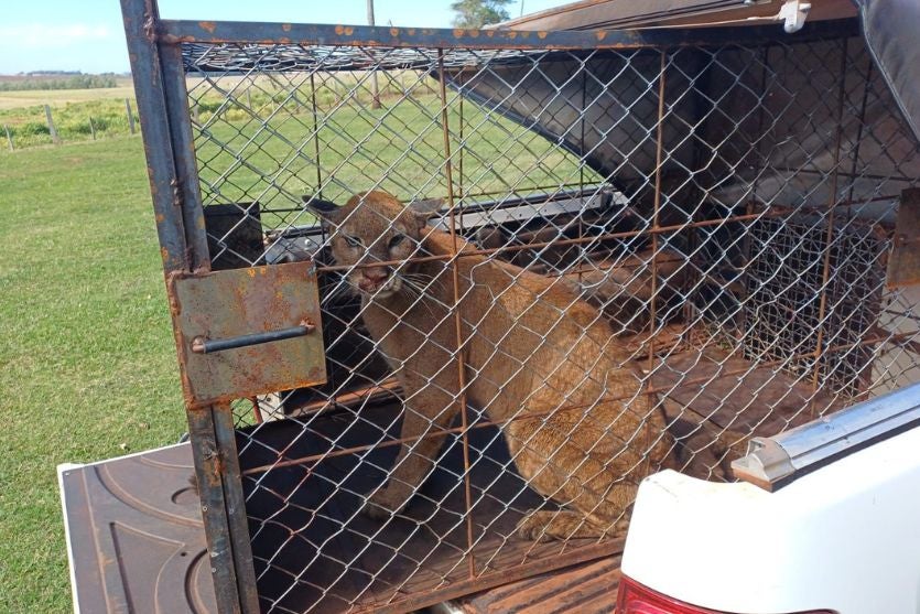 Design Sem Nome (10)