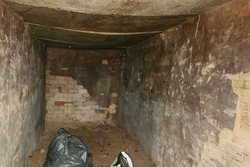 Design Sem Nome (24)