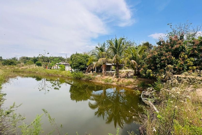 Design Sem Nome (45)