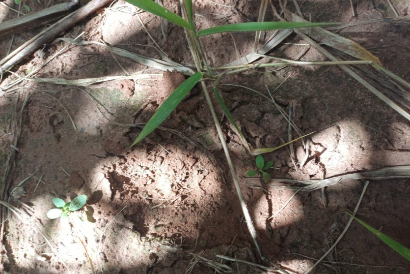 Imagem Do Whatsapp De 2025 09 02 à(s) 07.52.40 89e5d9f9