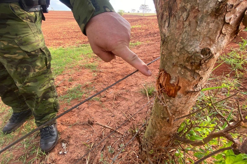 Imagem Do Whatsapp De 2025 09 14 à(s) 16.45.12 B71177d5