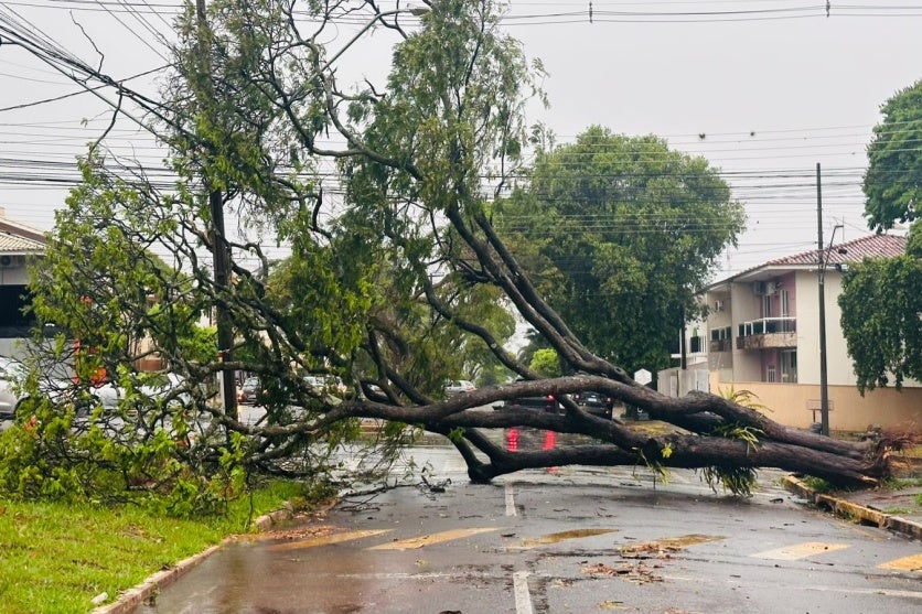 Imagem Do Whatsapp De 2025 09 22 à(s) 08.23.43 83ff6b1c