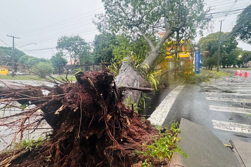 Imagem Do Whatsapp De 2025 09 22 à(s) 08.26.09 97927145