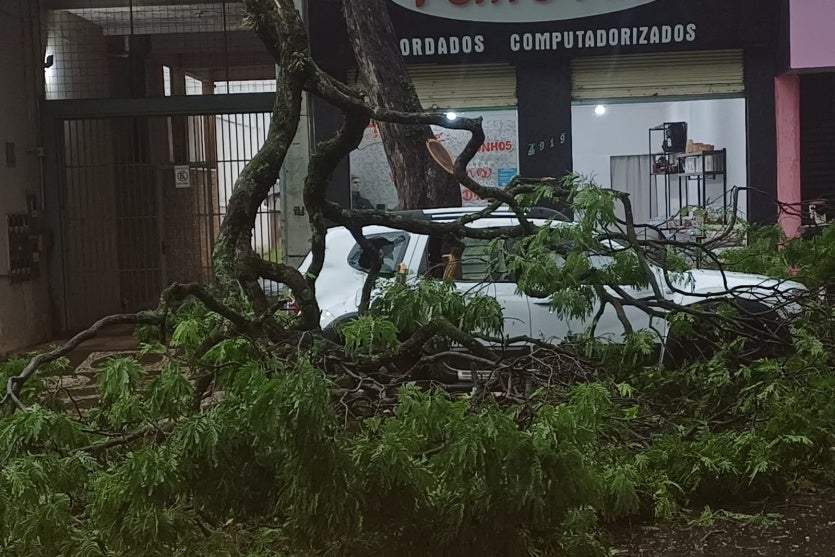 Imagem Do Whatsapp De 2025 09 22 à(s) 08.58.45 596b2f46